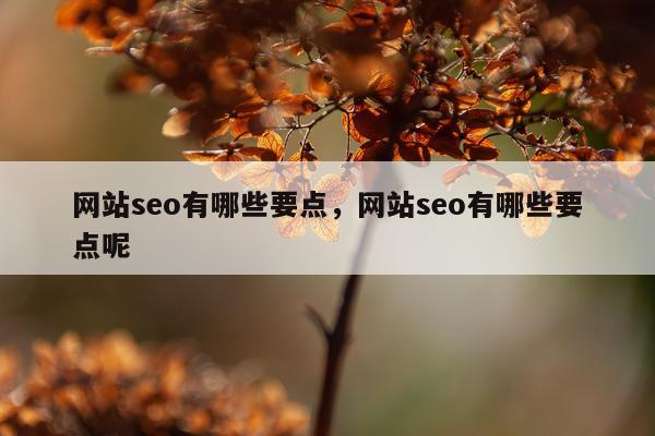 网站seo有哪些要点，网站seo有哪些要点呢