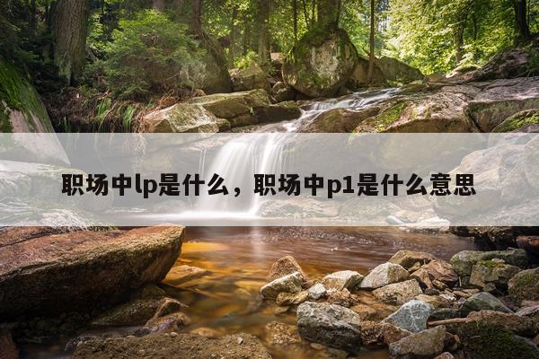 职场中lp是什么，职场中p1是什么意思