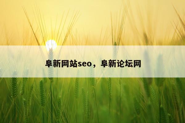 阜新网站seo，阜新论坛网