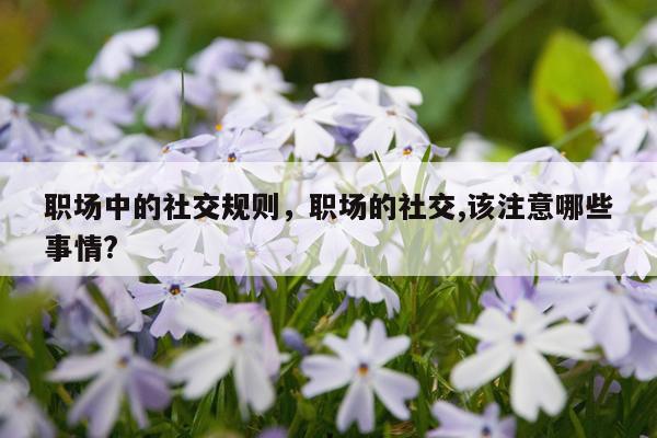 职场中的社交规则，职场的社交,该注意哪些事情?