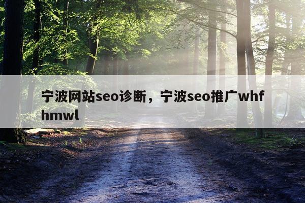 宁波网站seo诊断，宁波seo推广whfhmwl