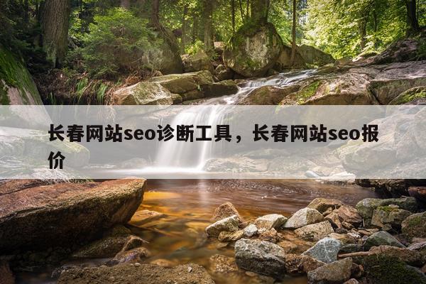 长春网站seo诊断工具，长春网站seo报价