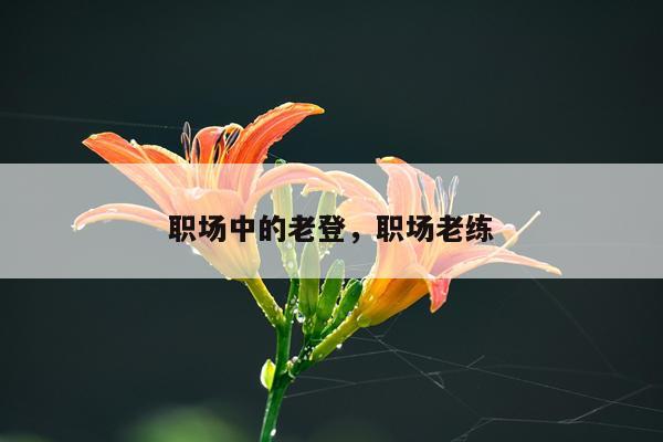 职场中的老登，职场老练