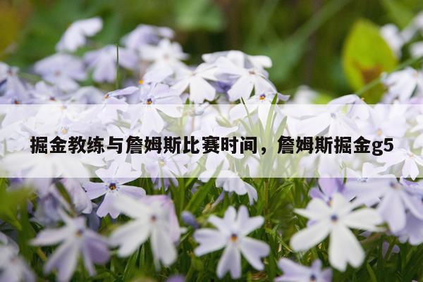 掘金教练与詹姆斯比赛时间，詹姆斯掘金g5