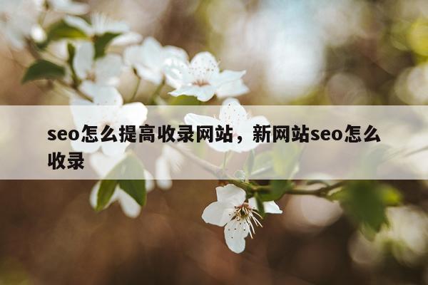 seo怎么提高收录网站，新网站seo怎么收录