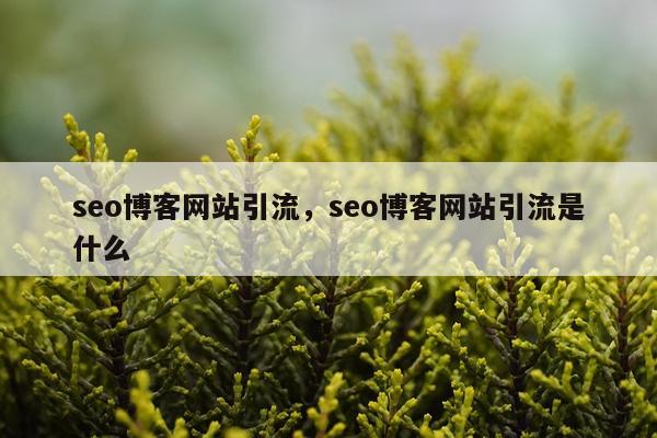 seo博客网站引流，seo博客网站引流是什么