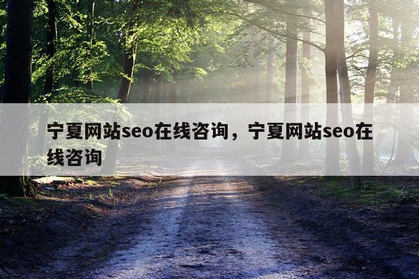 宁夏网站seo在线咨询，宁夏网站seo在线咨询