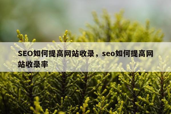 SEO如何提高网站收录，seo如何提高网站收录率