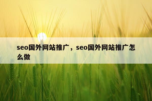 seo国外网站推广，seo国外网站推广怎么做