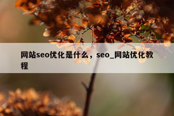 网站seo优化是什么，seo_网站优化教程