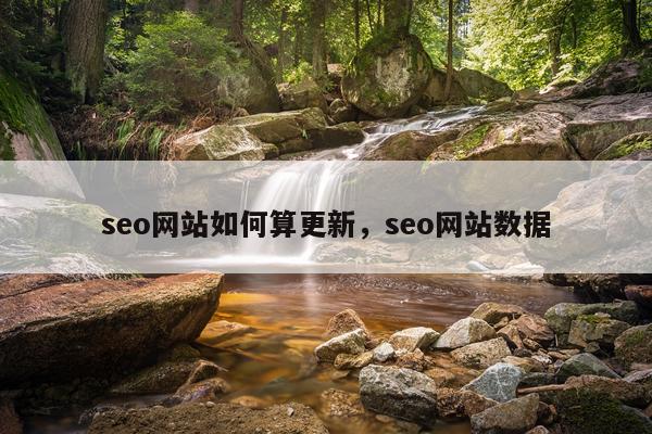 seo网站如何算更新，seo网站数据