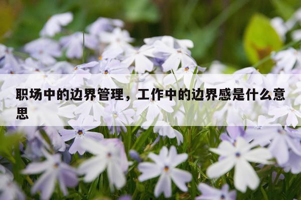 职场中的边界管理，工作中的边界感是什么意思