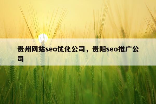 贵州网站seo优化公司，贵阳seo推广公司