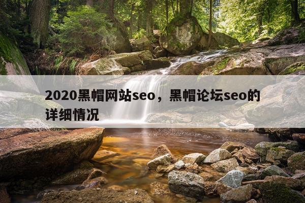 2020黑帽网站seo，黑帽论坛seo的详细情况
