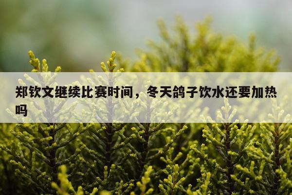 郑钦文继续比赛时间，冬天鸽子饮水还要加热吗
