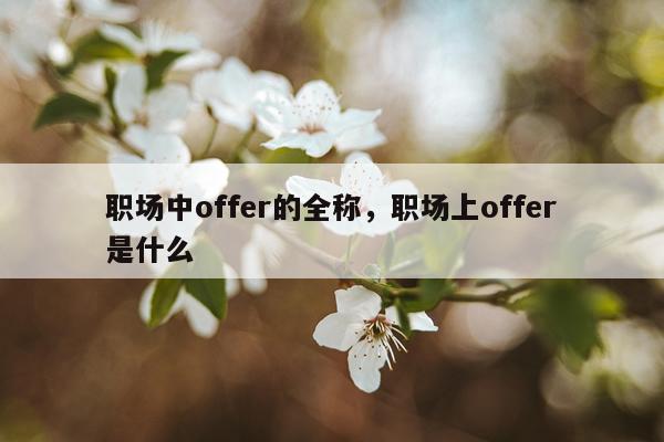 职场中offer的全称，职场上offer是什么