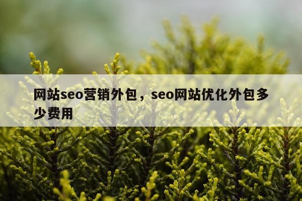 网站seo营销外包，seo网站优化外包多少费用