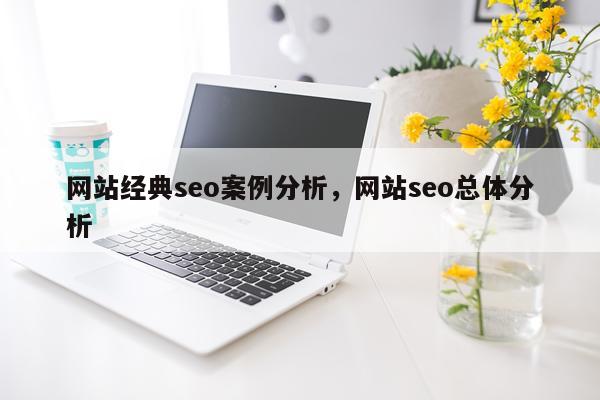 网站经典seo案例分析，网站seo总体分析