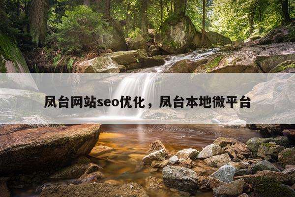 凤台网站seo优化，凤台本地微平台