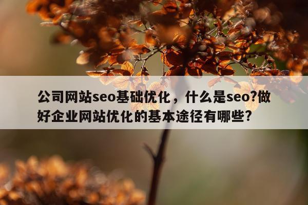 公司网站seo基础优化，什么是seo?做好企业网站优化的基本途径有哪些?