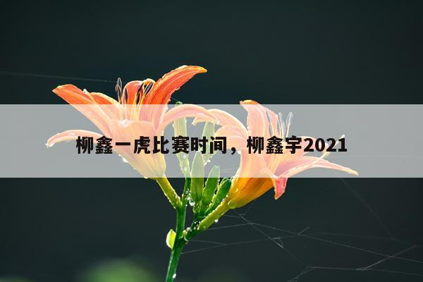 柳鑫一虎比赛时间，柳鑫宇2021