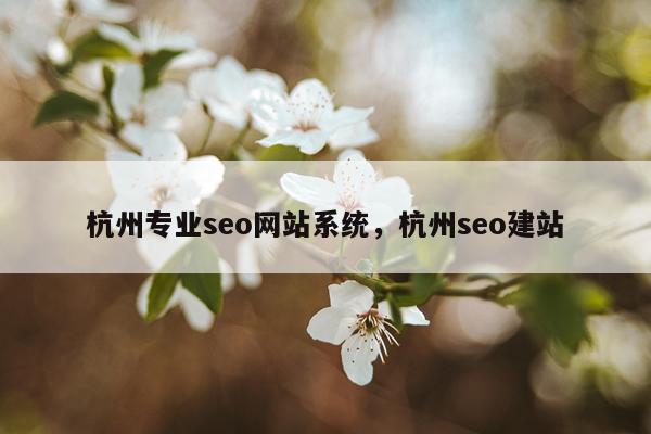 杭州专业seo网站系统，杭州seo建站