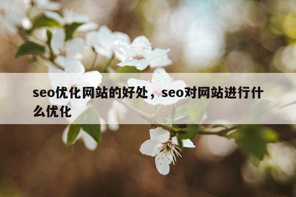 seo优化网站的好处，seo对网站进行什么优化