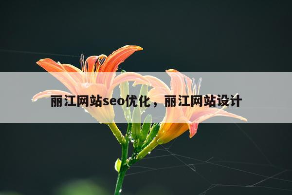 丽江网站seo优化，丽江网站设计