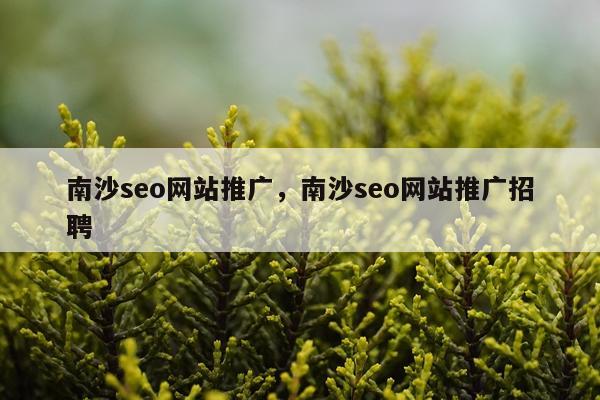 南沙seo网站推广，南沙seo网站推广招聘