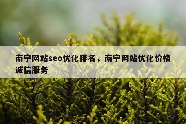 南宁网站seo优化排名，南宁网站优化价格诚信服务