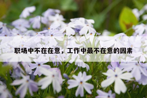 职场中不在在意，工作中最不在意的因素