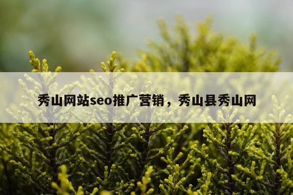 秀山网站seo推广营销，秀山县秀山网