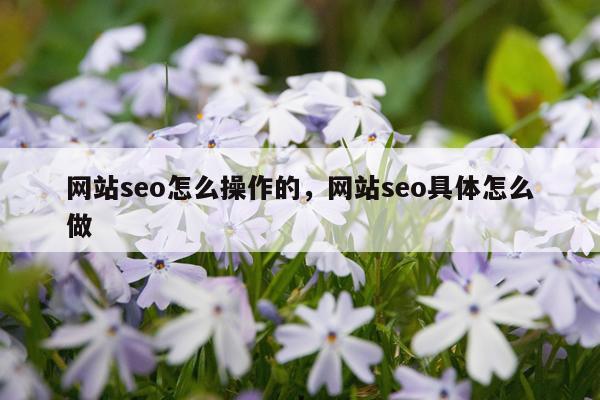 网站seo怎么操作的，网站seo具体怎么做
