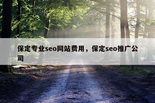 保定专业seo网站费用，保定seo推广公司