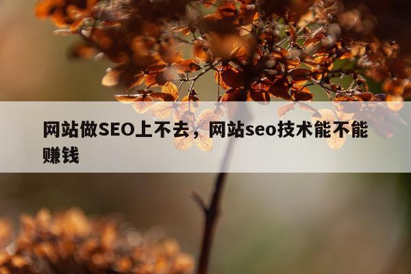 网站做SEO上不去,网站seo技术能不能赚钱