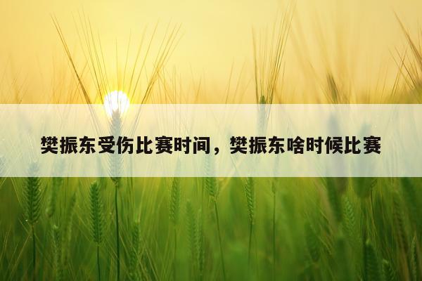 樊振东受伤比赛时间,樊振东啥时候比赛