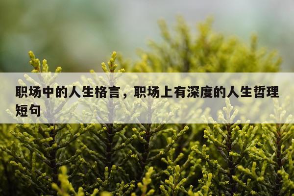 职场中的人生格言，职场上有深度的人生哲理短句