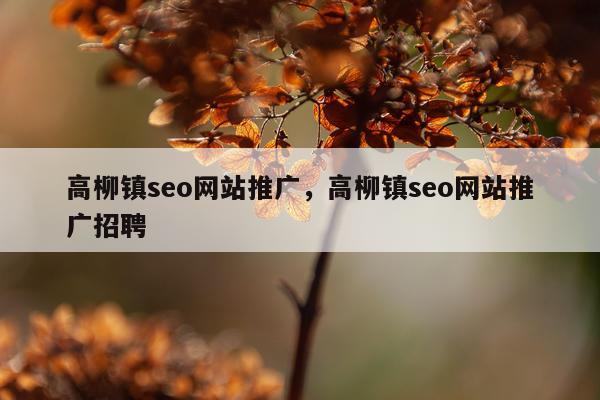 高柳镇seo网站推广，高柳镇seo网站推广招聘