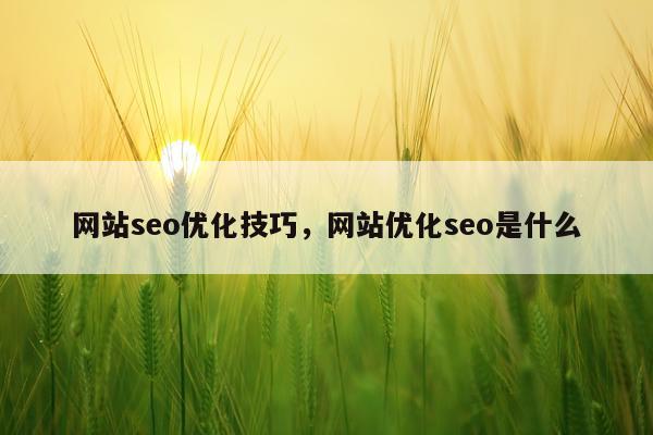 网站seo优化技巧，网站优化seo是什么