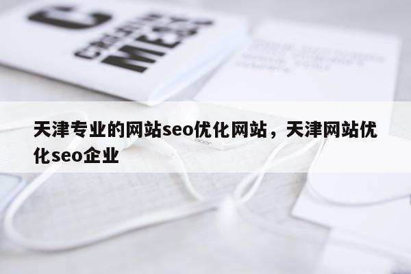 天津专业的网站seo优化网站，天津网站优化seo企业