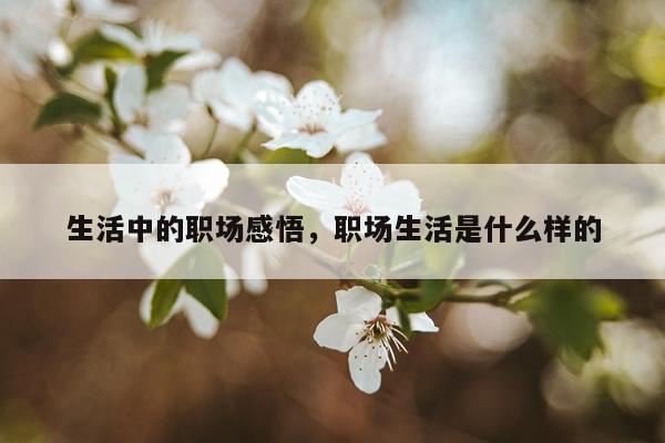 生活中的职场感悟，职场生活是什么样的