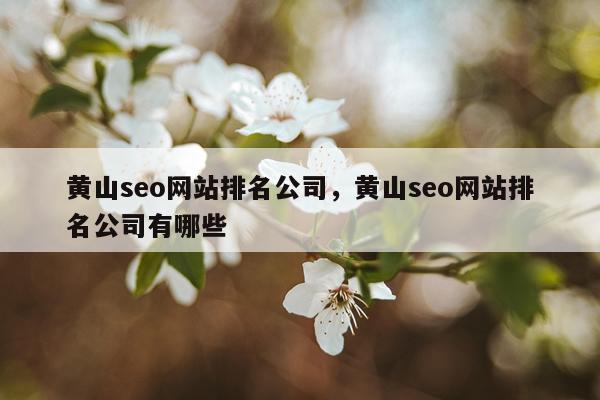 黄山seo网站排名公司，黄山seo网站排名公司有哪些