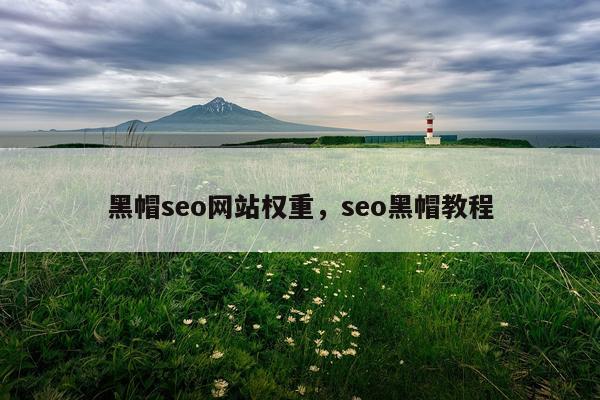 黑帽seo网站权重，seo黑帽教程