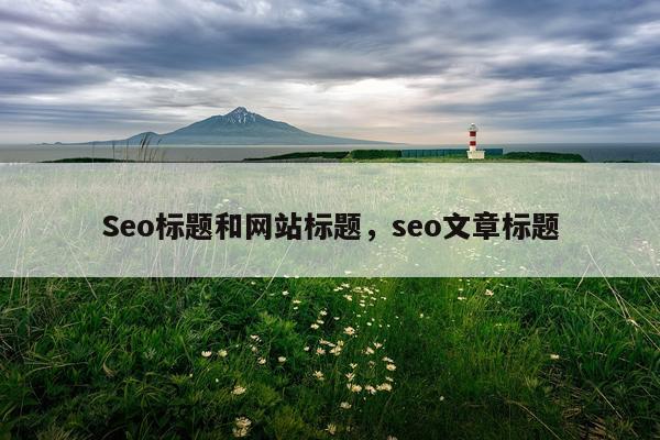 Seo标题和网站标题，seo文章标题