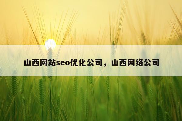 山西网站seo优化公司，山西网络公司