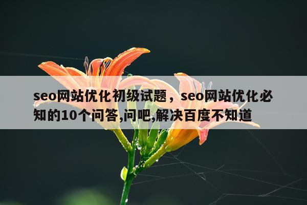 seo网站优化初级试题，seo网站优化必知的10个问答,问吧,解决百度不知道