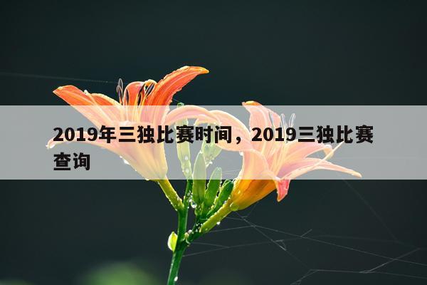 2019年三独比赛时间，2019三独比赛查询