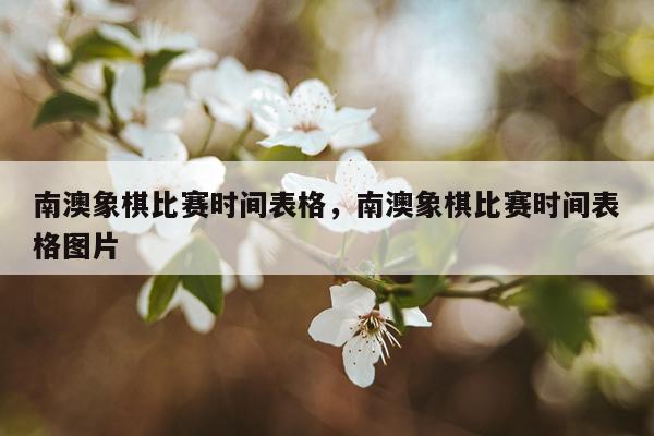 南澳象棋比赛时间表格，南澳象棋比赛时间表格图片