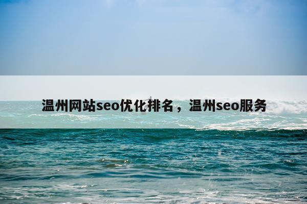 温州网站seo优化排名，温州seo服务