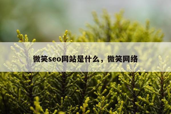 微笑seo网站是什么，微笑网络